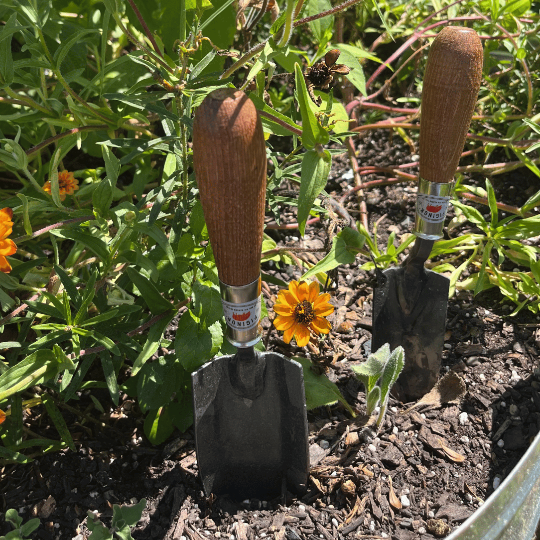 Piginor Large Trowel