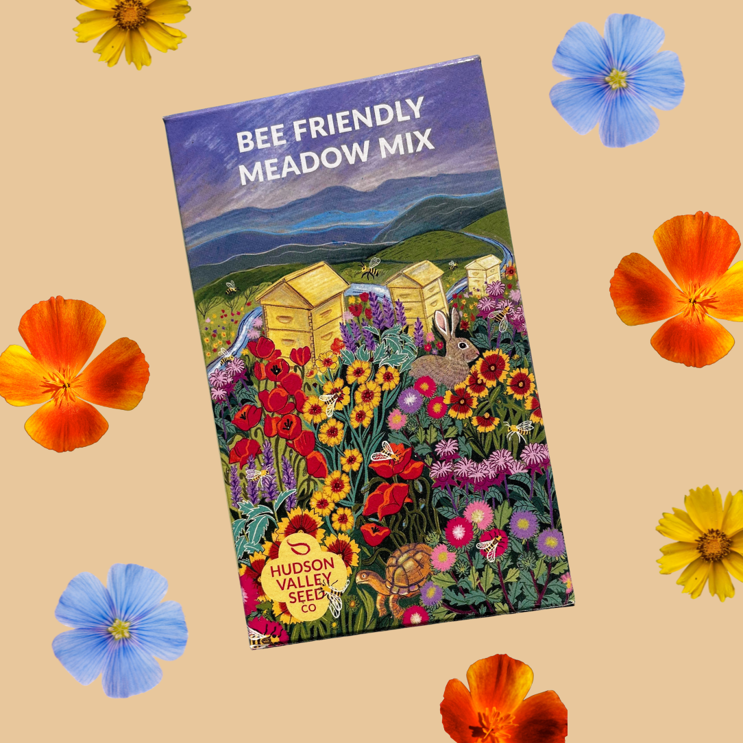 Bee Friendly Meadow Mix Seed Shaker