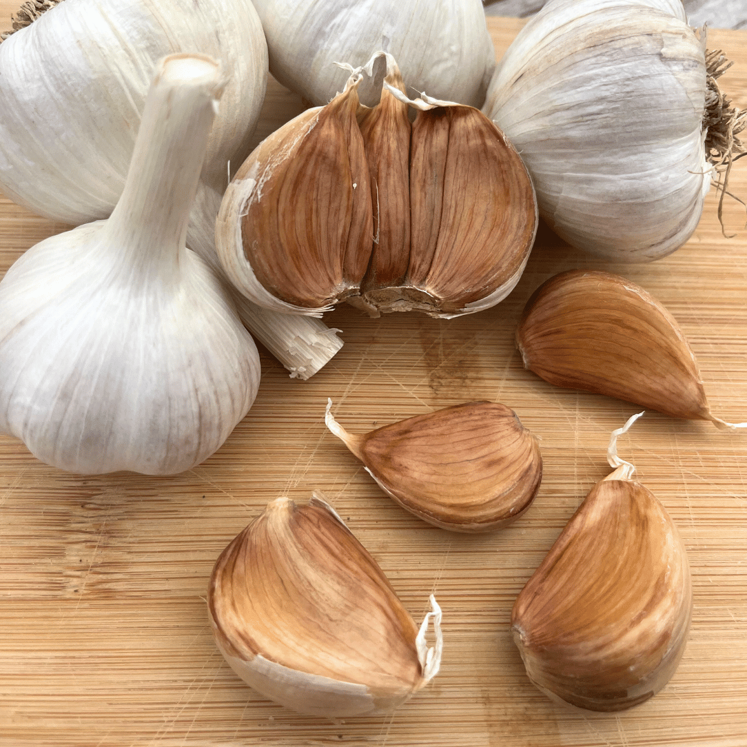 Conventional Bloodnick&