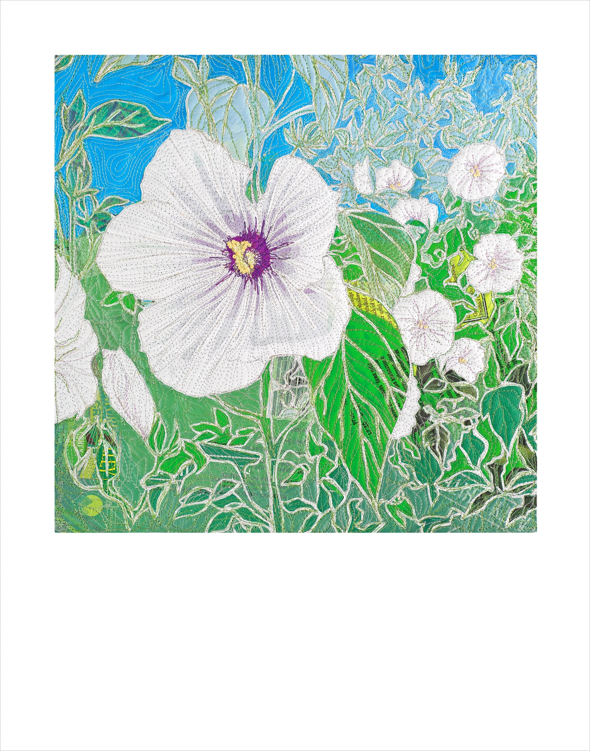 Hardy Hibiscus Fine Art Poster