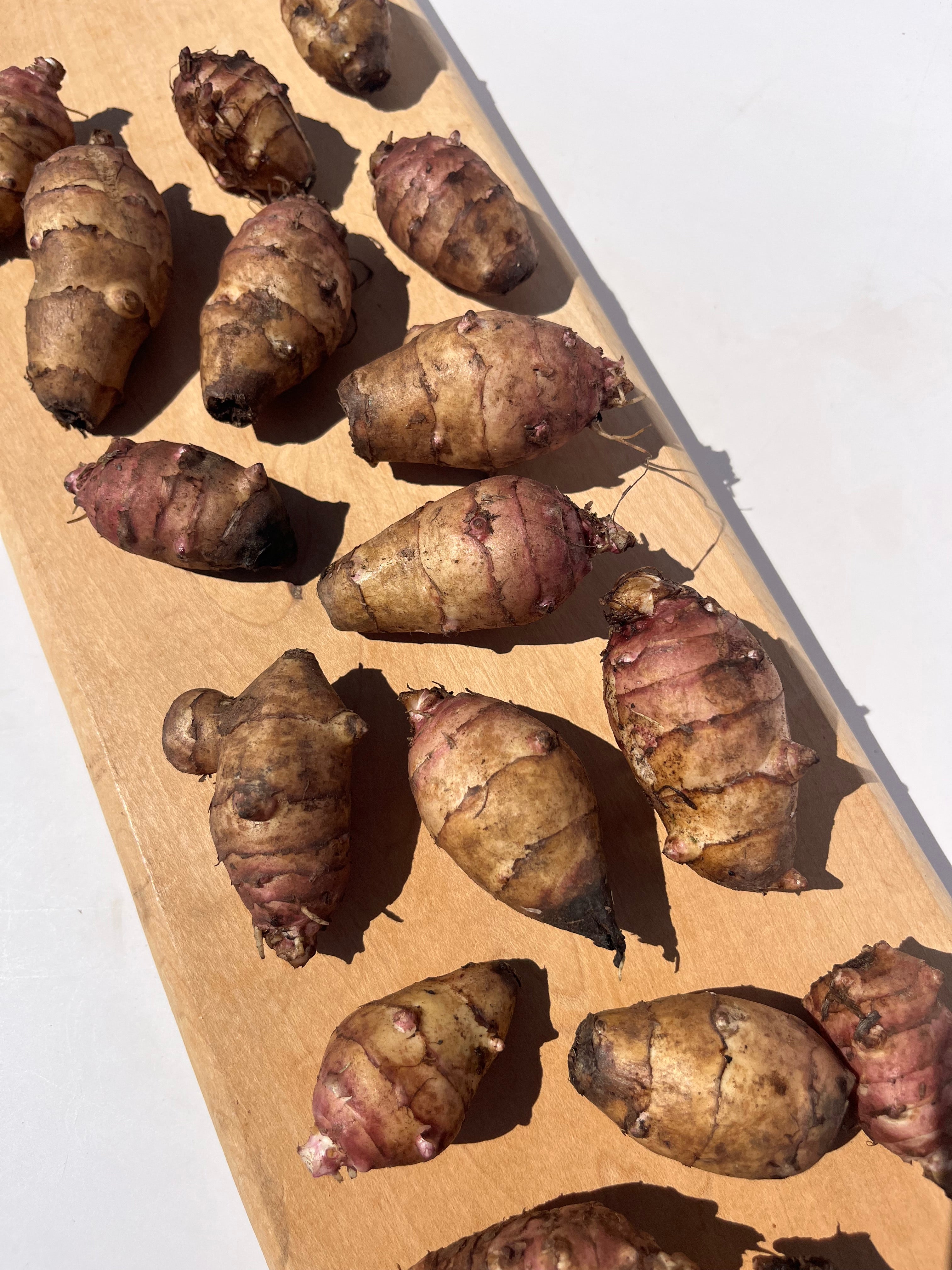 Beaver Valley Sunchoke