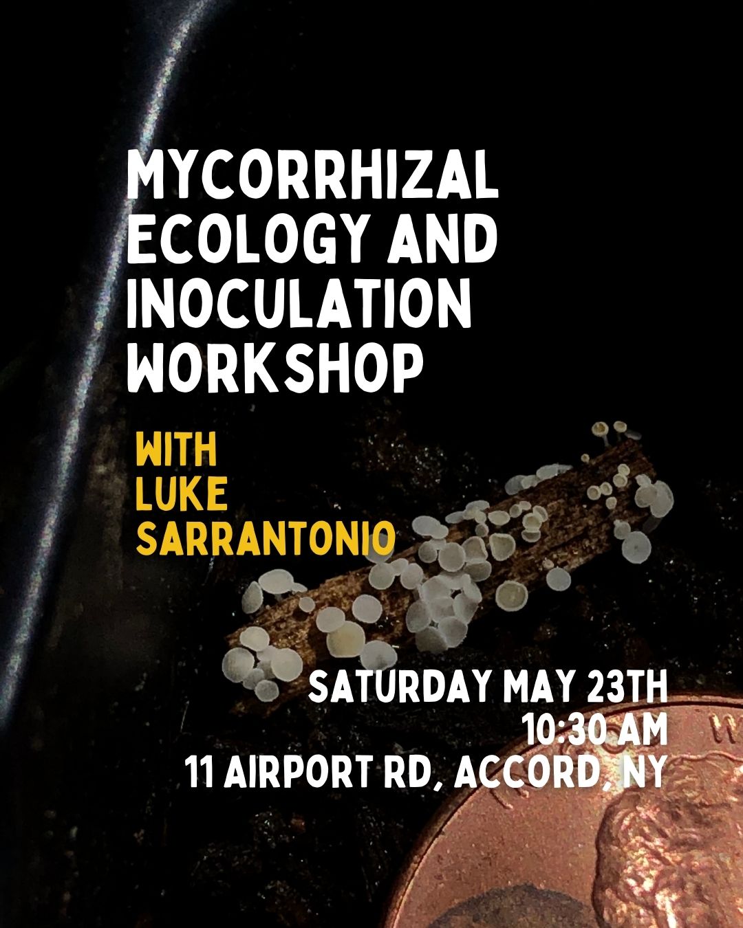 Mycorrhizal Ecology & Inoculation Workshop 5/23 - 10:30AM