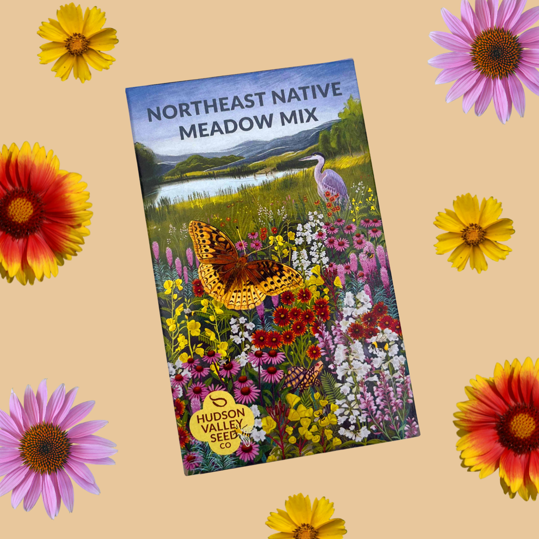 Northeast Native Wildflower Mix Seed Shaker