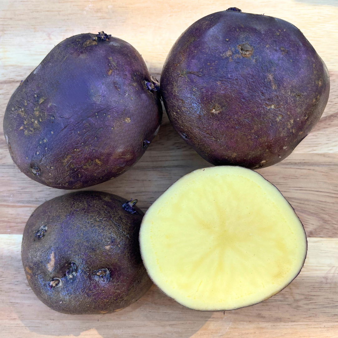 Huckleberry Gold Potato