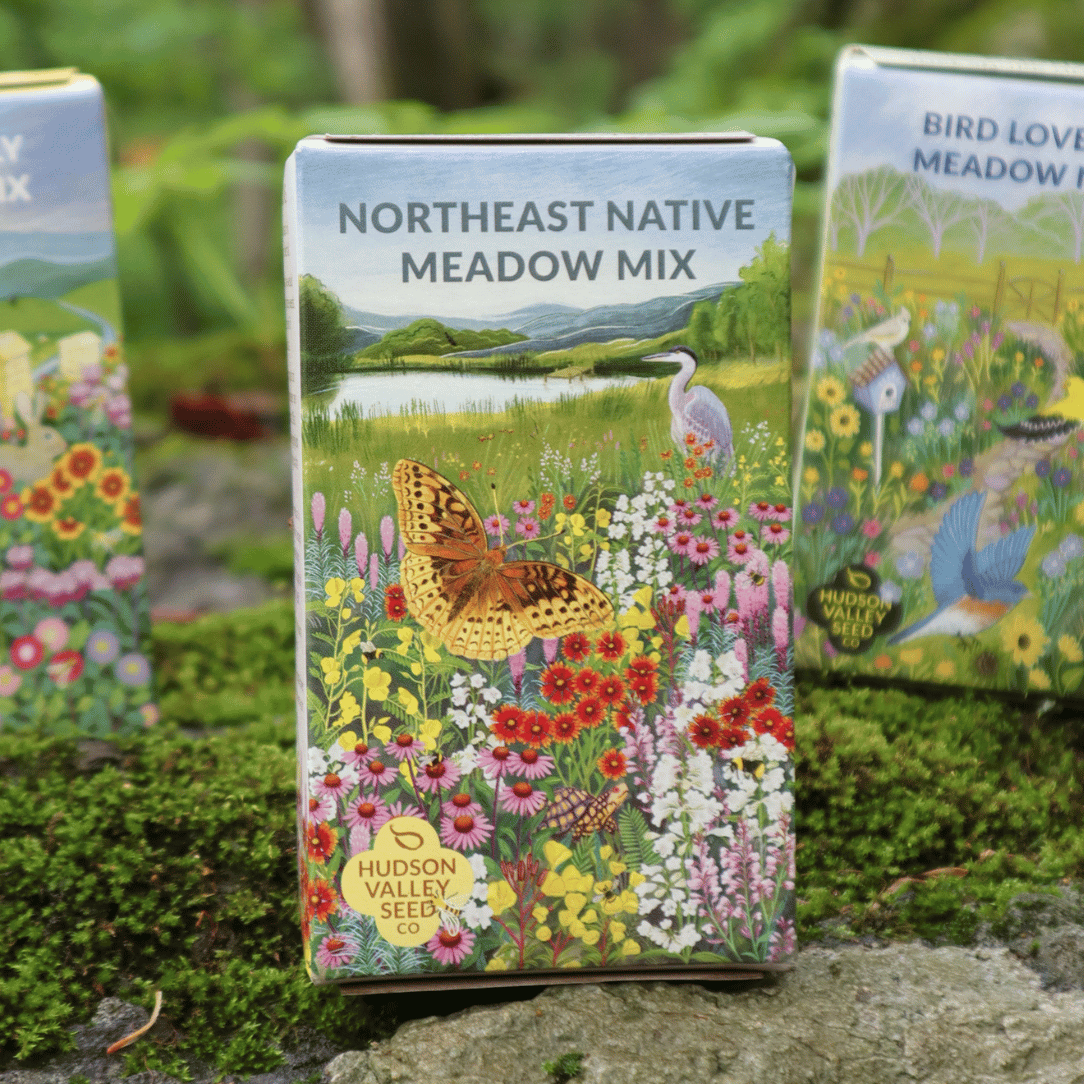 Northeast Native Wildflower Mix Seed Shaker