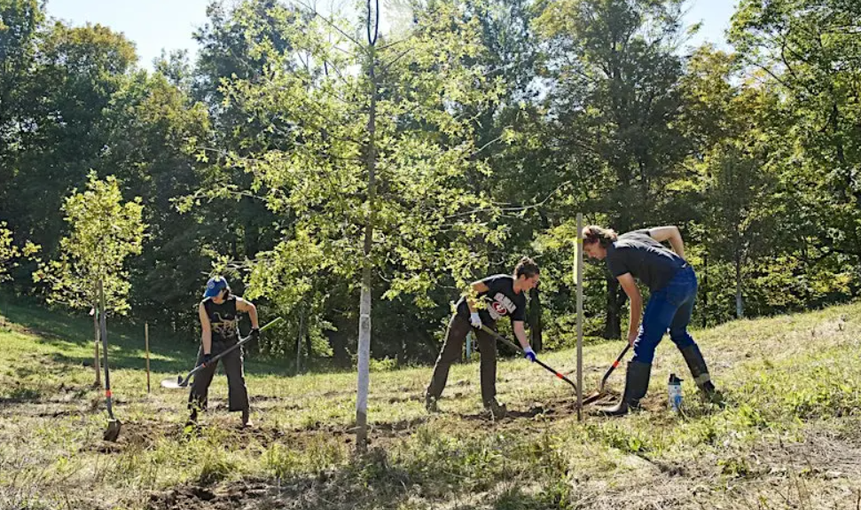 Tree Planting with Pollinate HV - 4/25/26 - 9:30 am