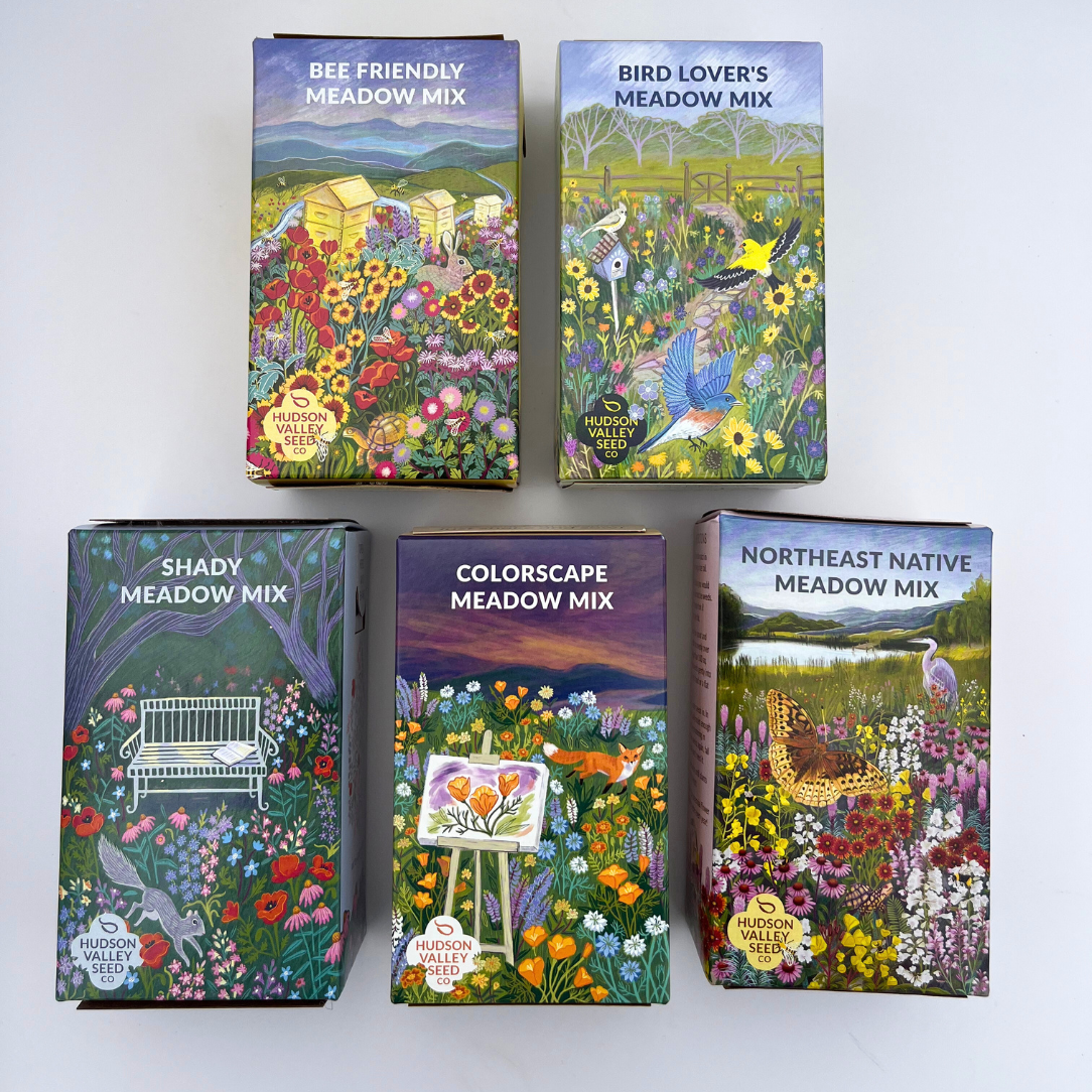 Northeast Native Wildflower Mix Seed Shaker