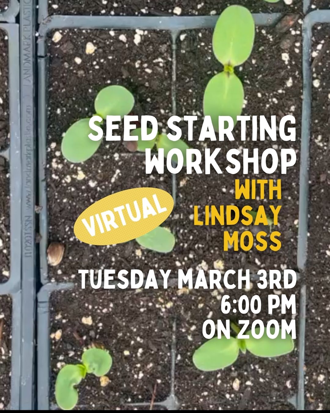 Virtual Seed Starting Class with Lindsay Moss - Zoom Recording