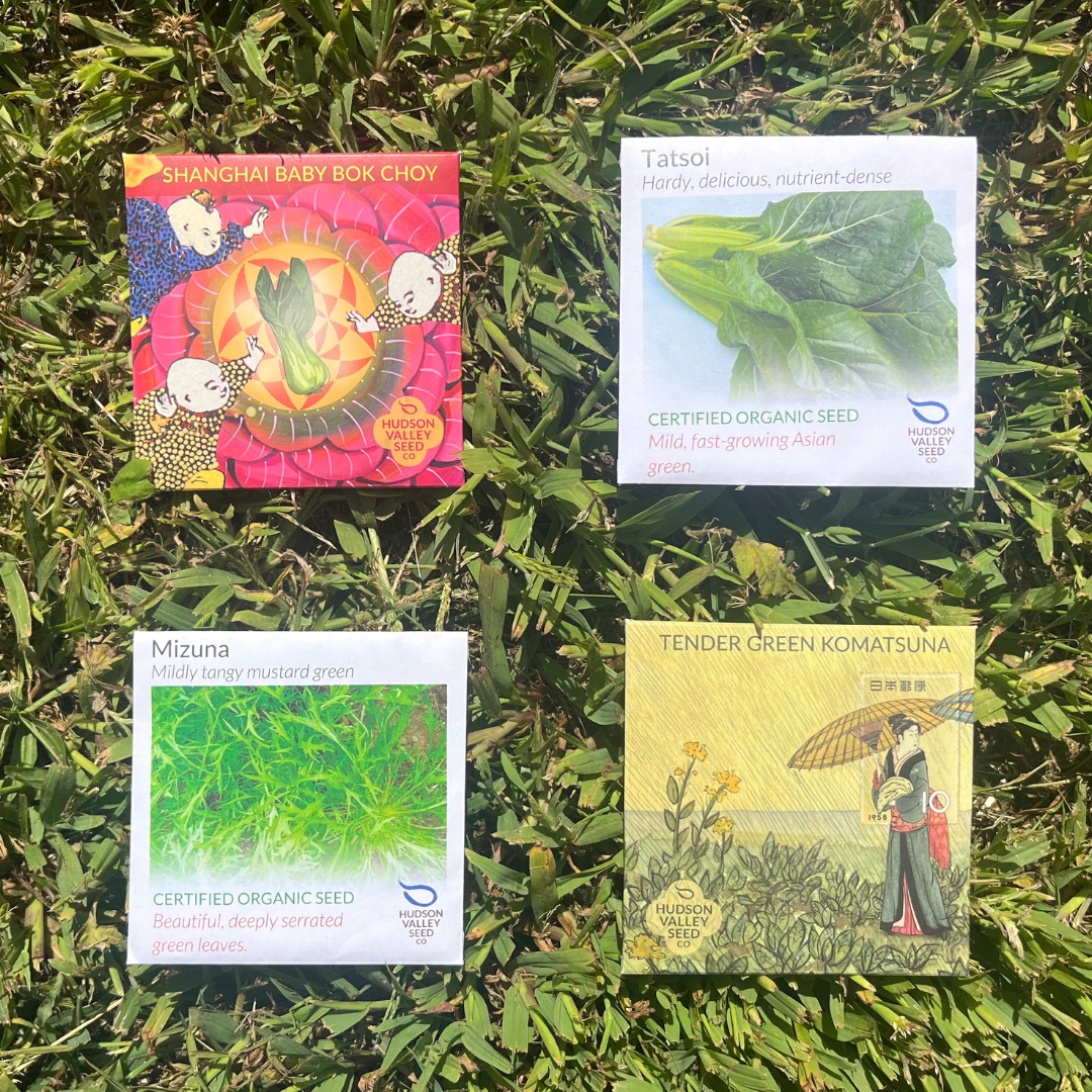 Asian Greens Seed Set