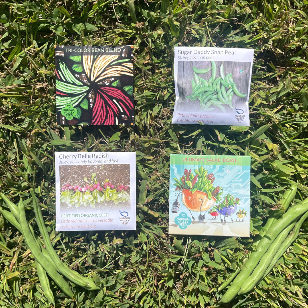 Beginners Veggie Garden Set