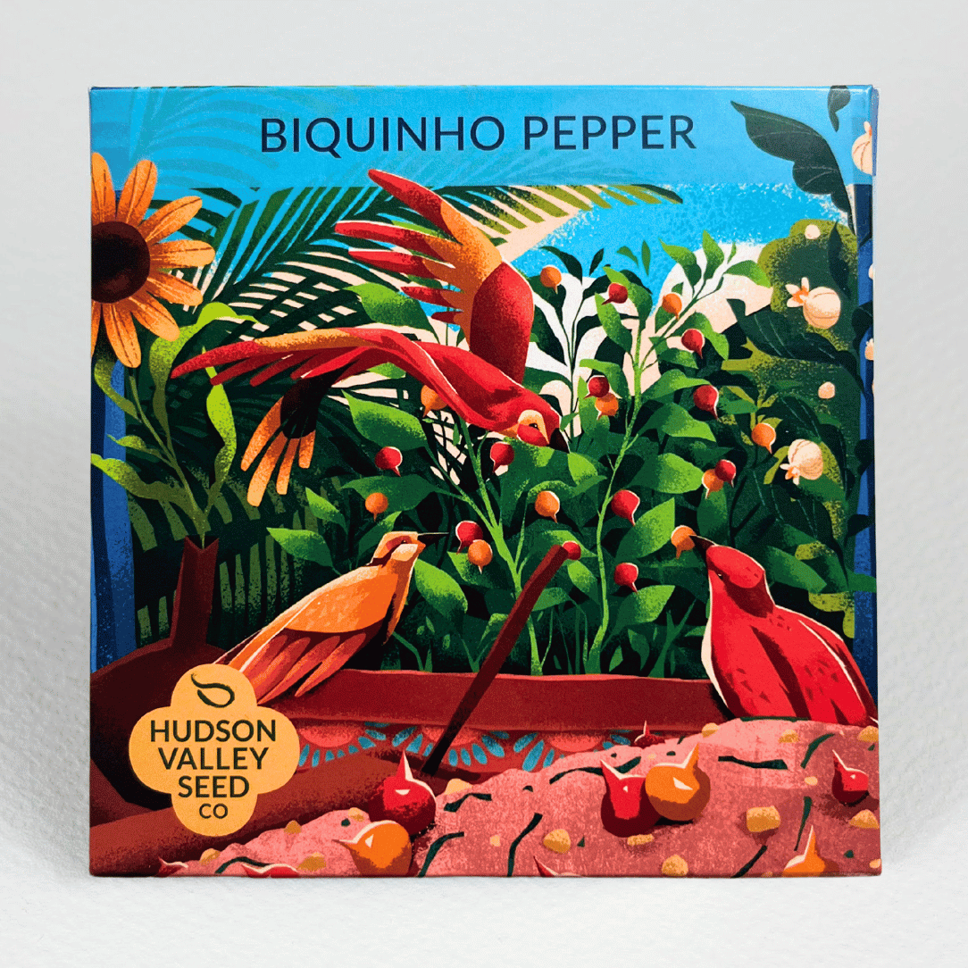 Biquinho Pepper Mix Seeds