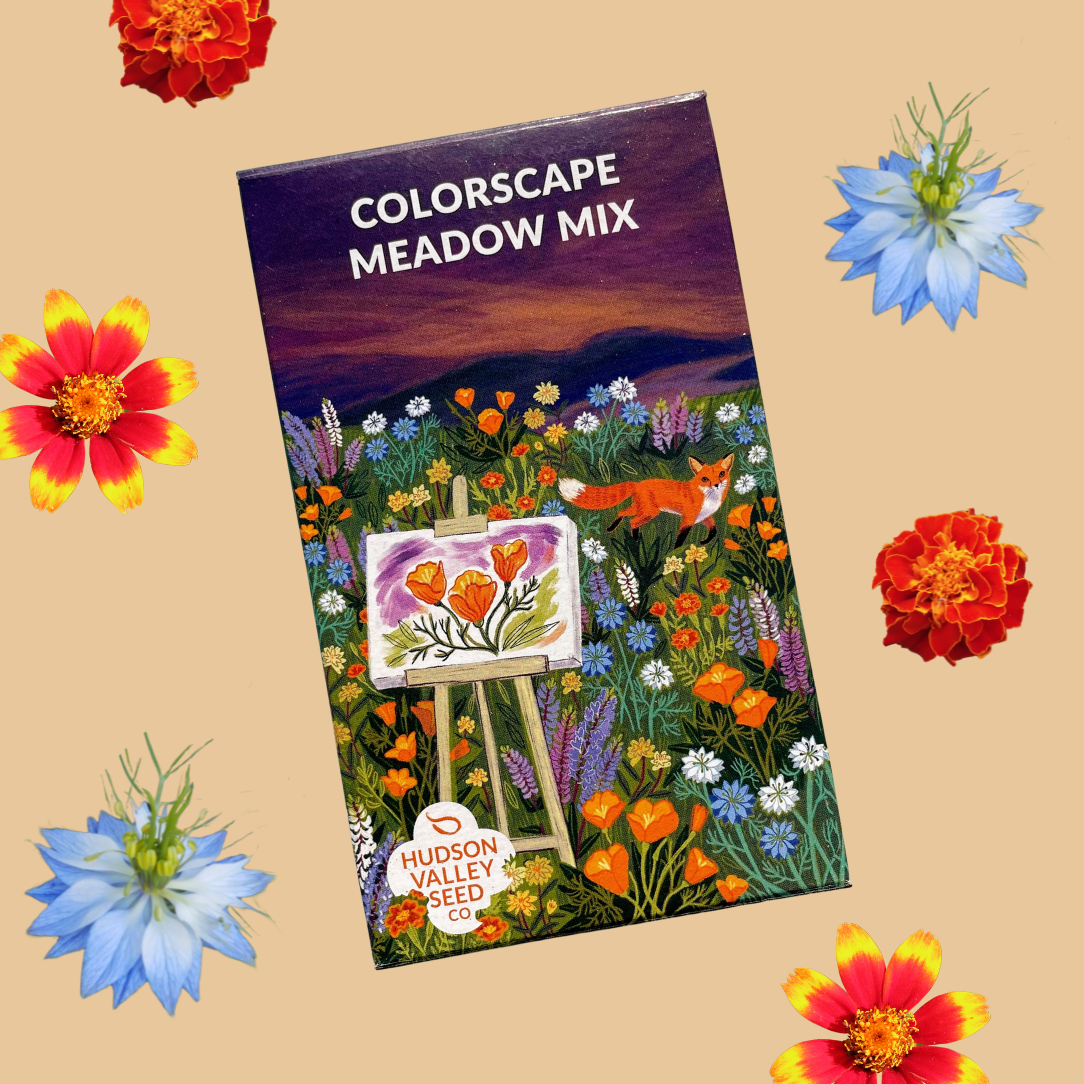 Colorscape Meadow Mix Seed Shaker