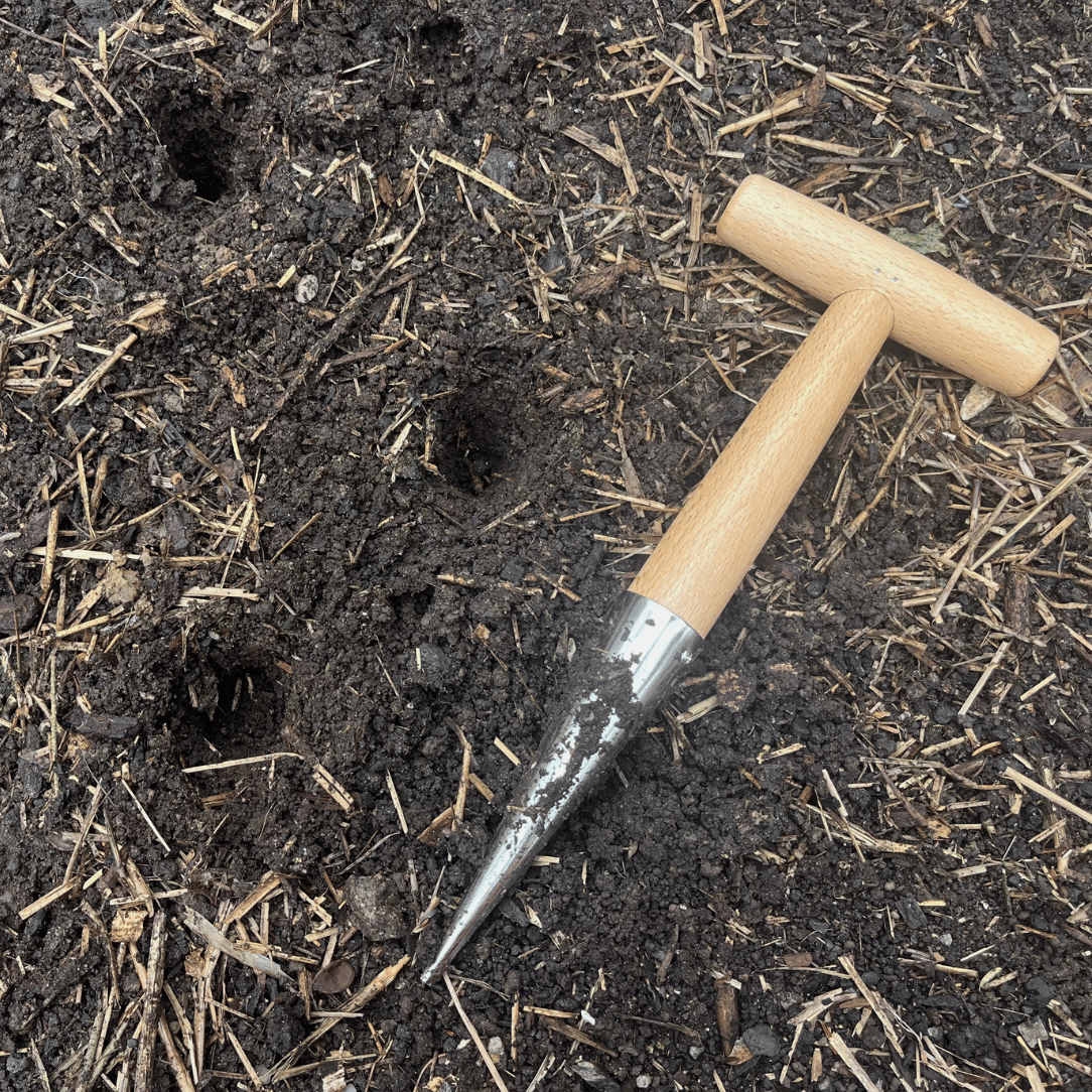 Wood-handled Dibber