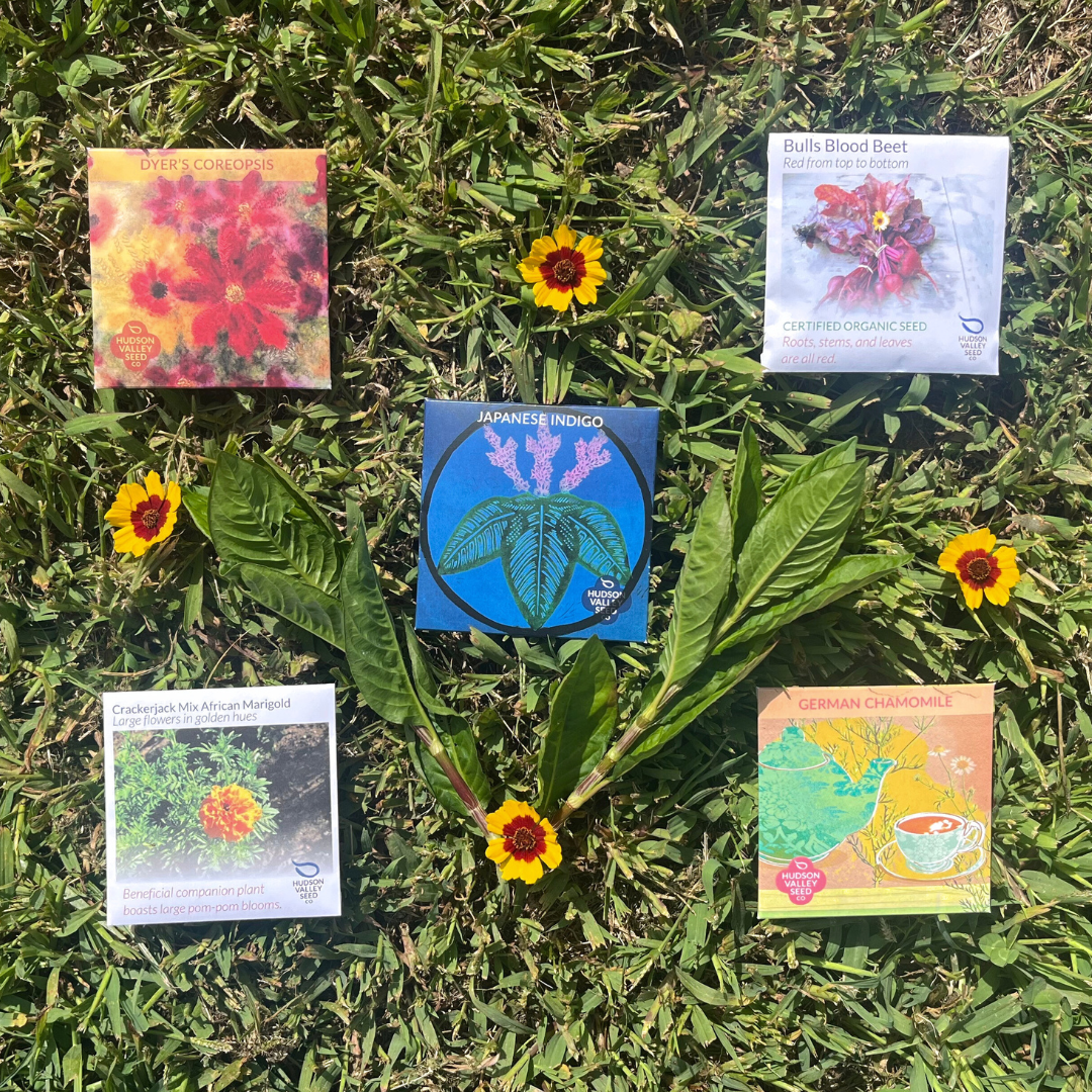 Dye Garden Seed Set