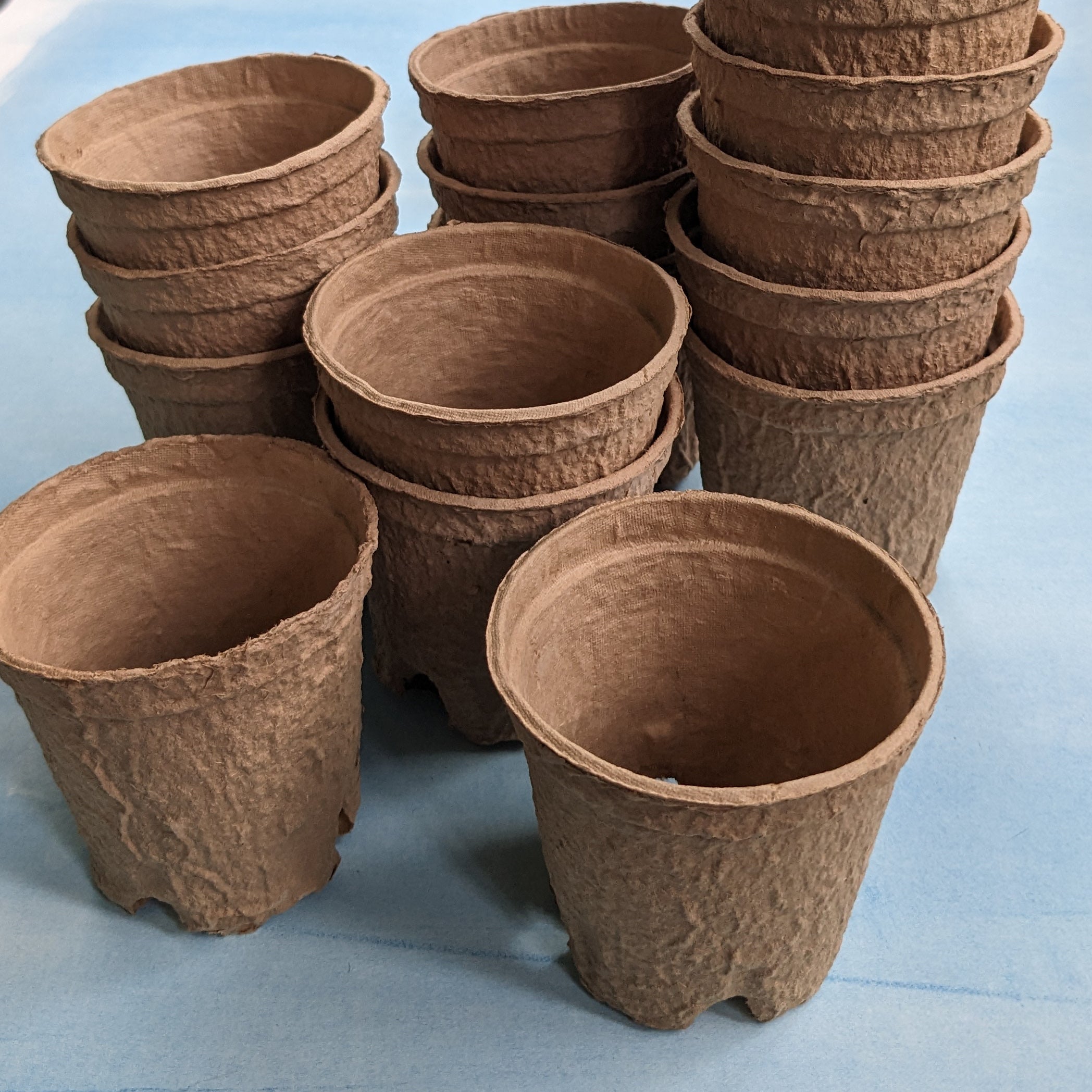 Seed-Starting Pots (15 pack)