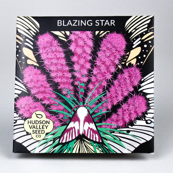 Blazing Star vendor-unknown