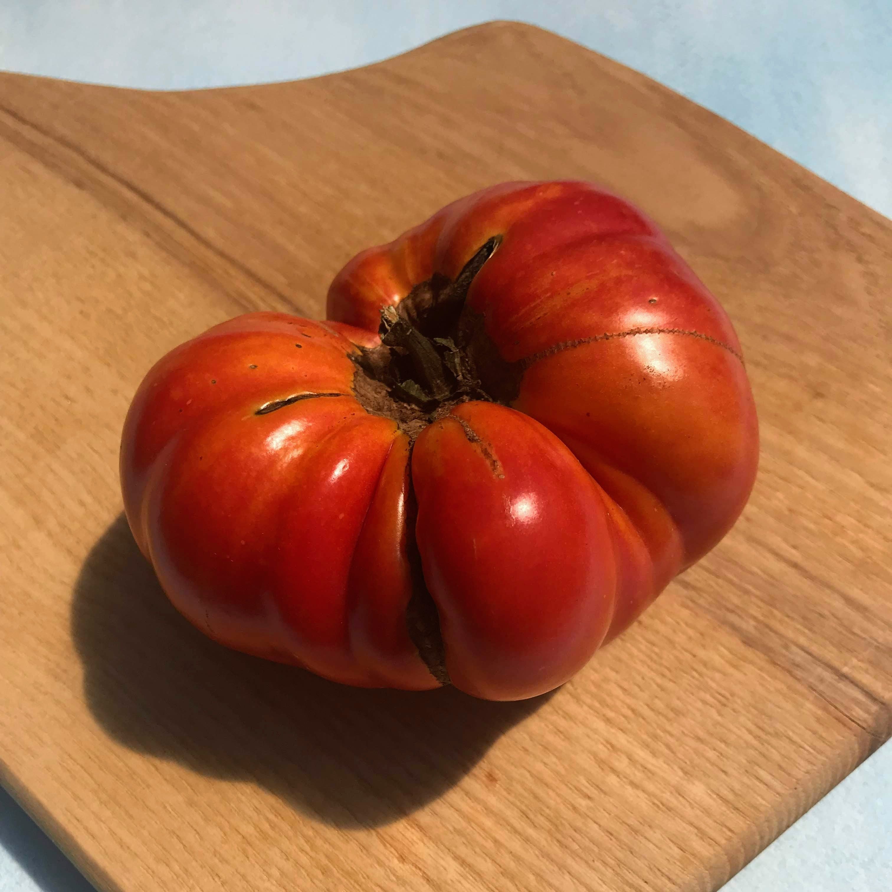Brandywine Tomato (Pink Strain) vendor-unknown
