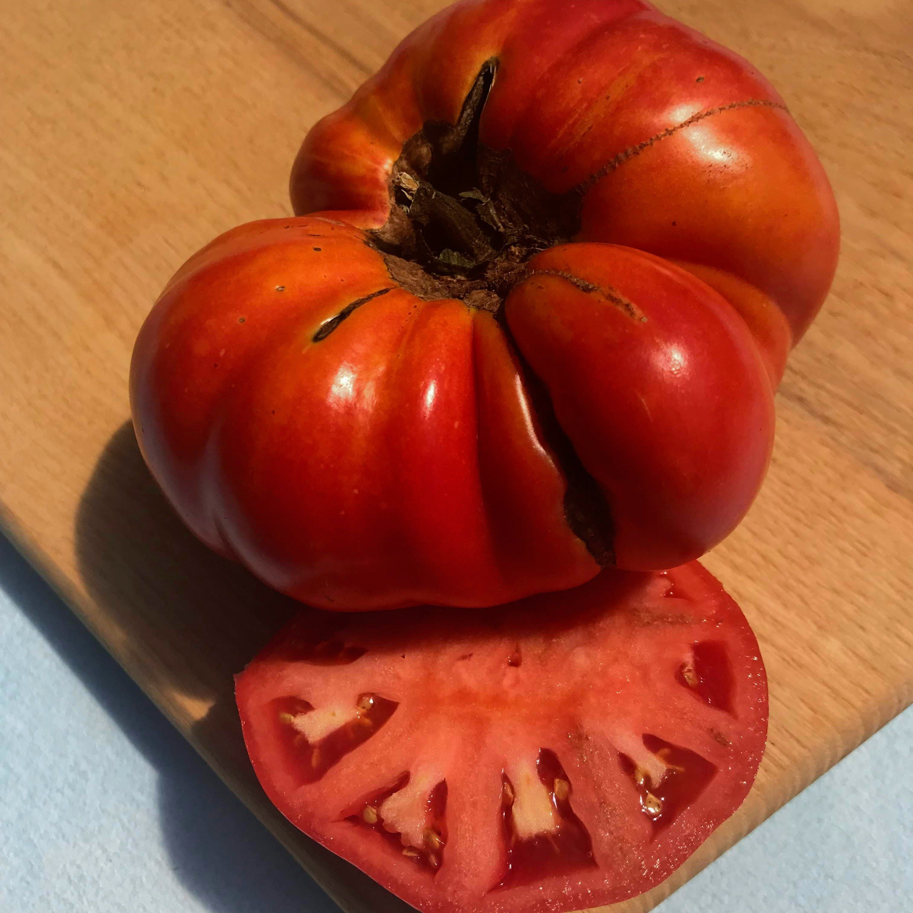 Brandywine Tomato (Pink Strain) vendor-unknown