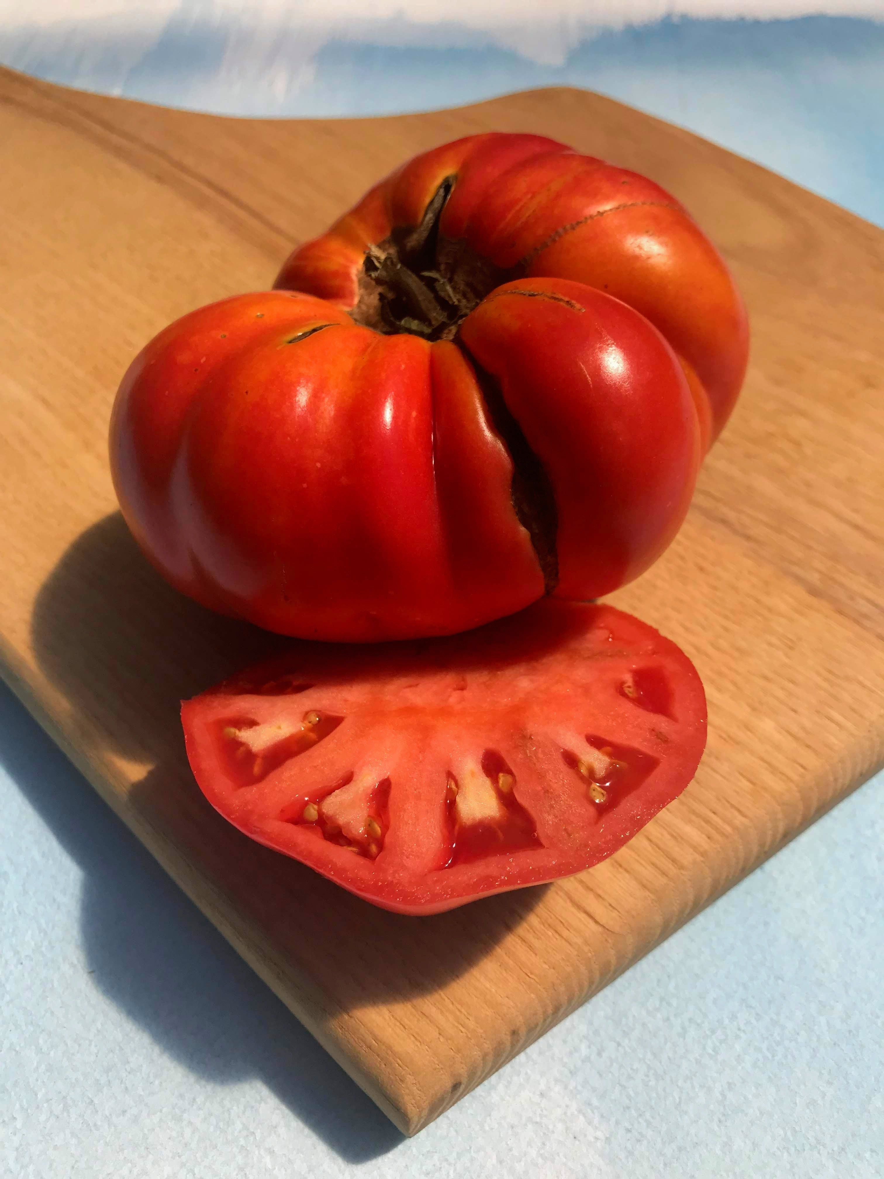 Brandywine Tomato (Pink Strain) vendor-unknown