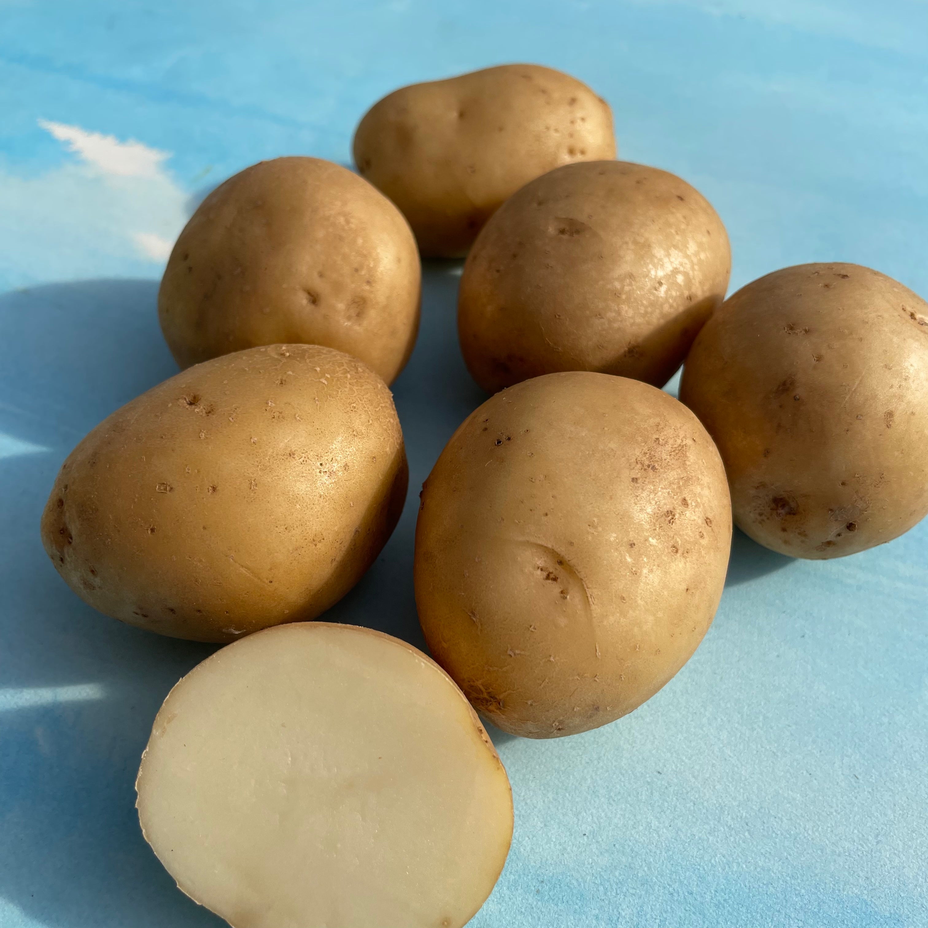 Upstate Abundance Potato