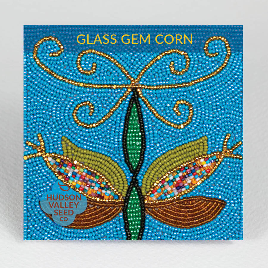 Glass Gem Corn