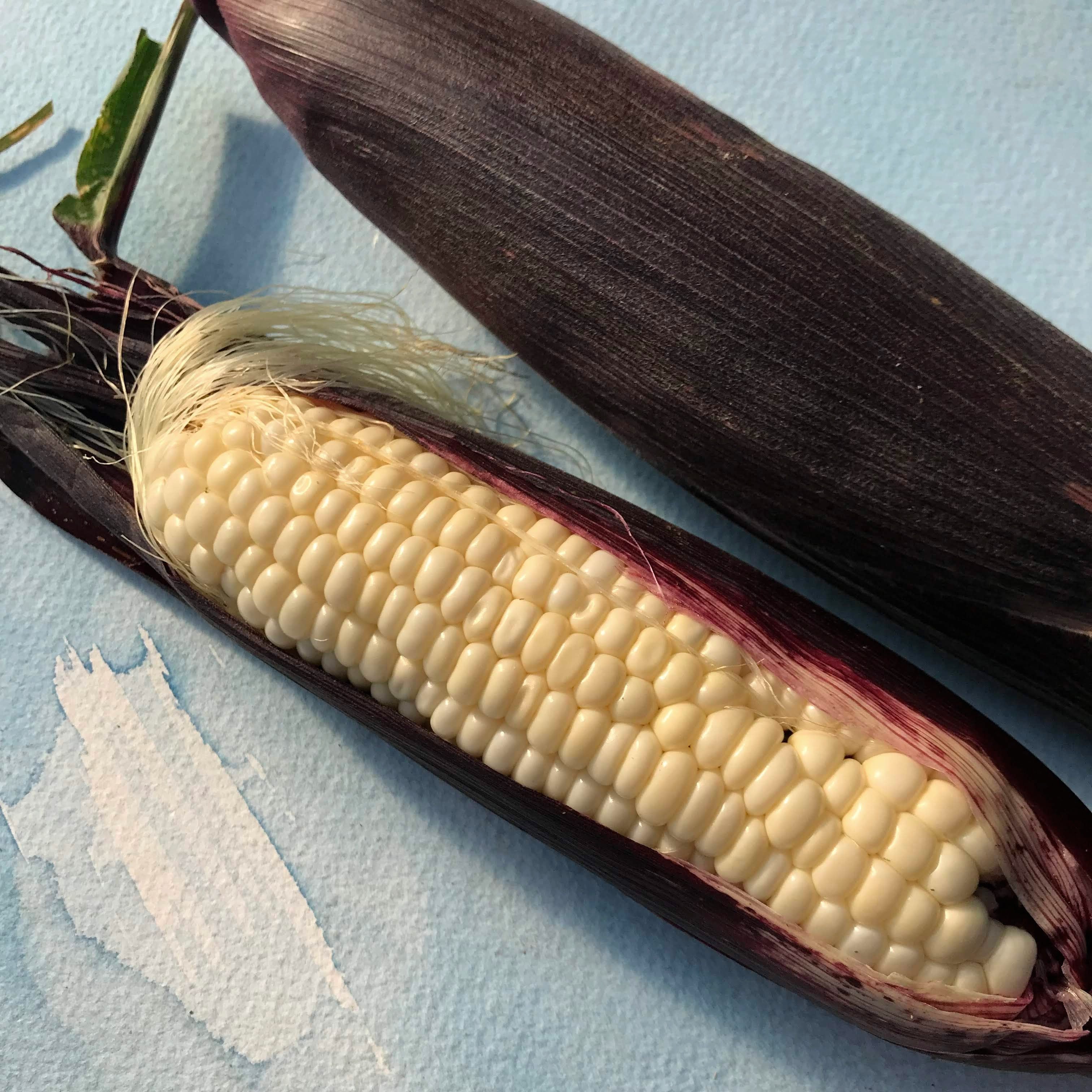 Martian Jewels Sweet Corn vendor-unknown