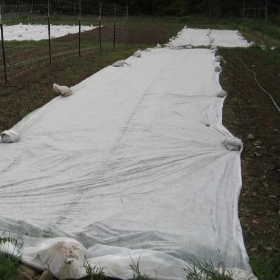 Mid-Weight Dewitt Row Cover Cut to Length - 7 Foot Width (83") vendor-unknown