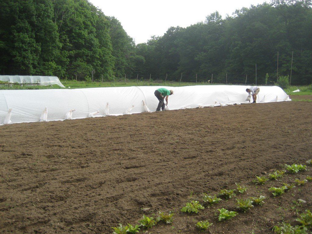 Mid-Weight Dewitt Row Cover Cut to Length - 7 Foot Width (83") vendor-unknown