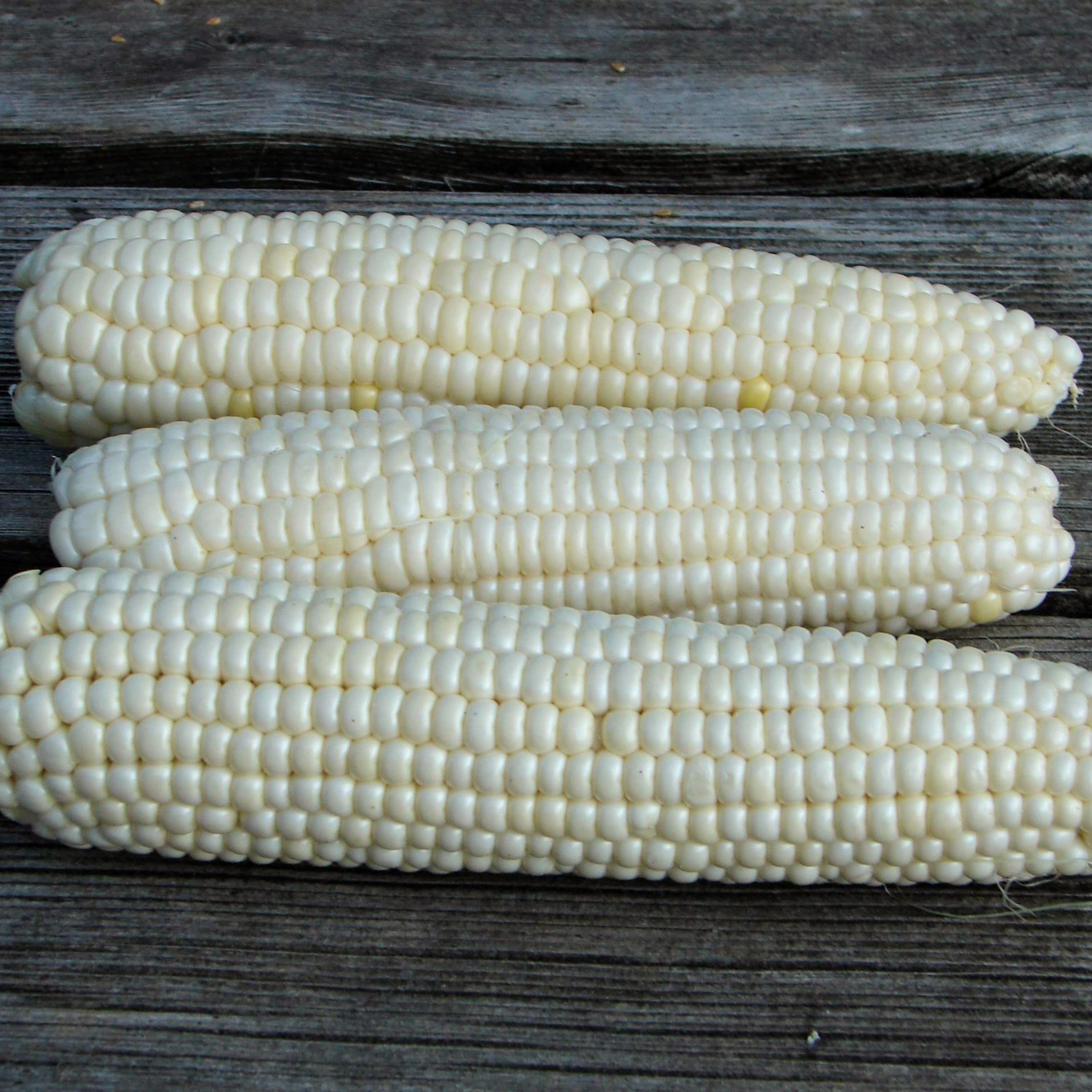 Tuxana Sweet Corn vendor-unknown