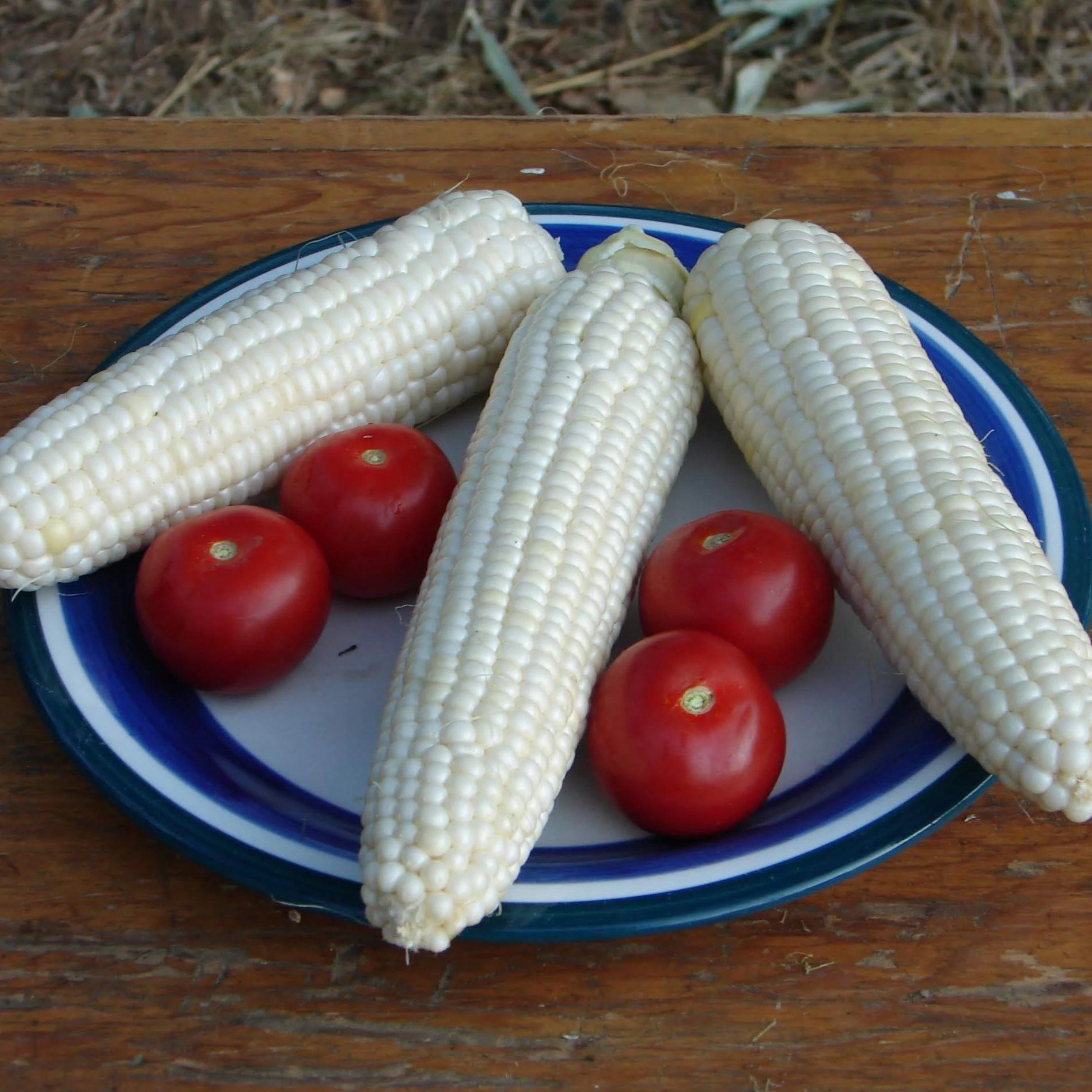 Tuxana Sweet Corn vendor-unknown