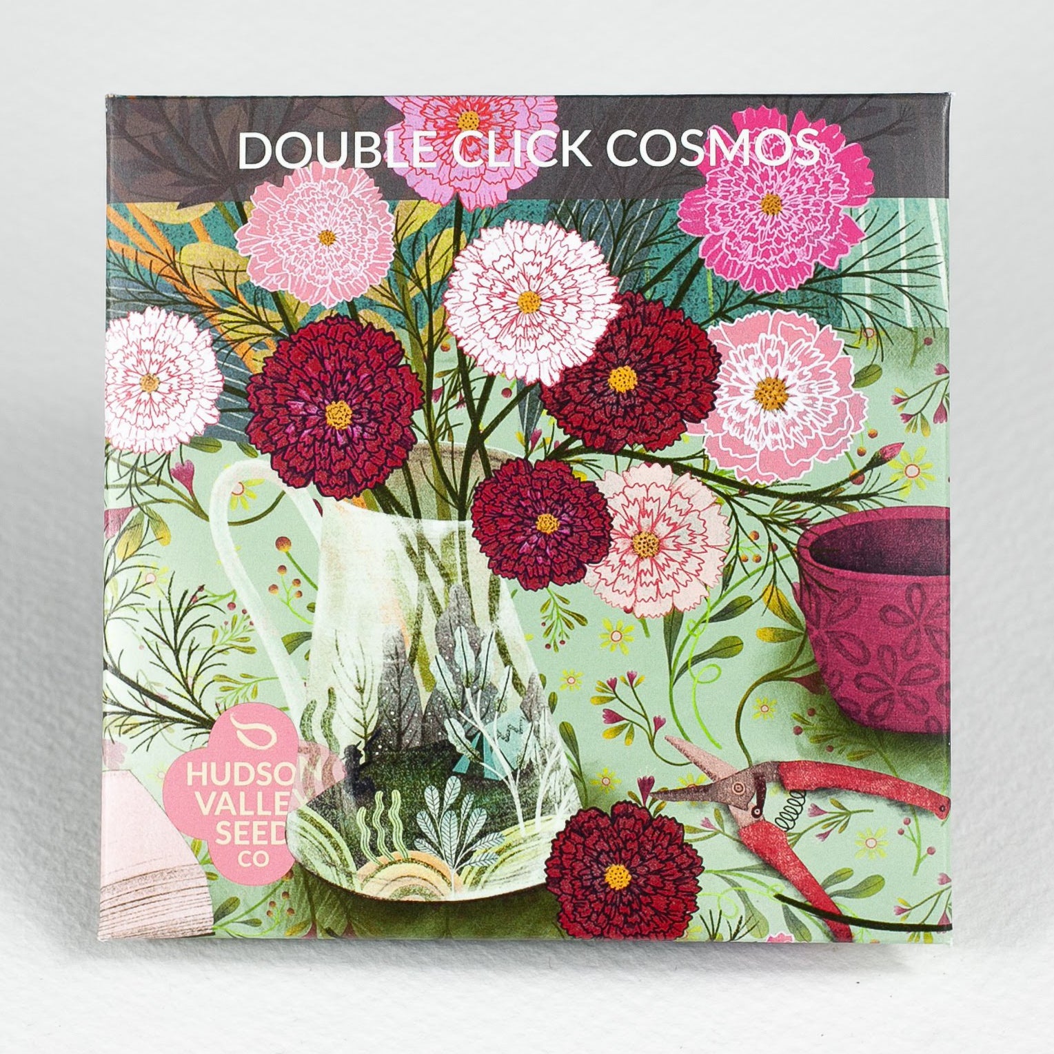 Double Click Cosmos Seedlings