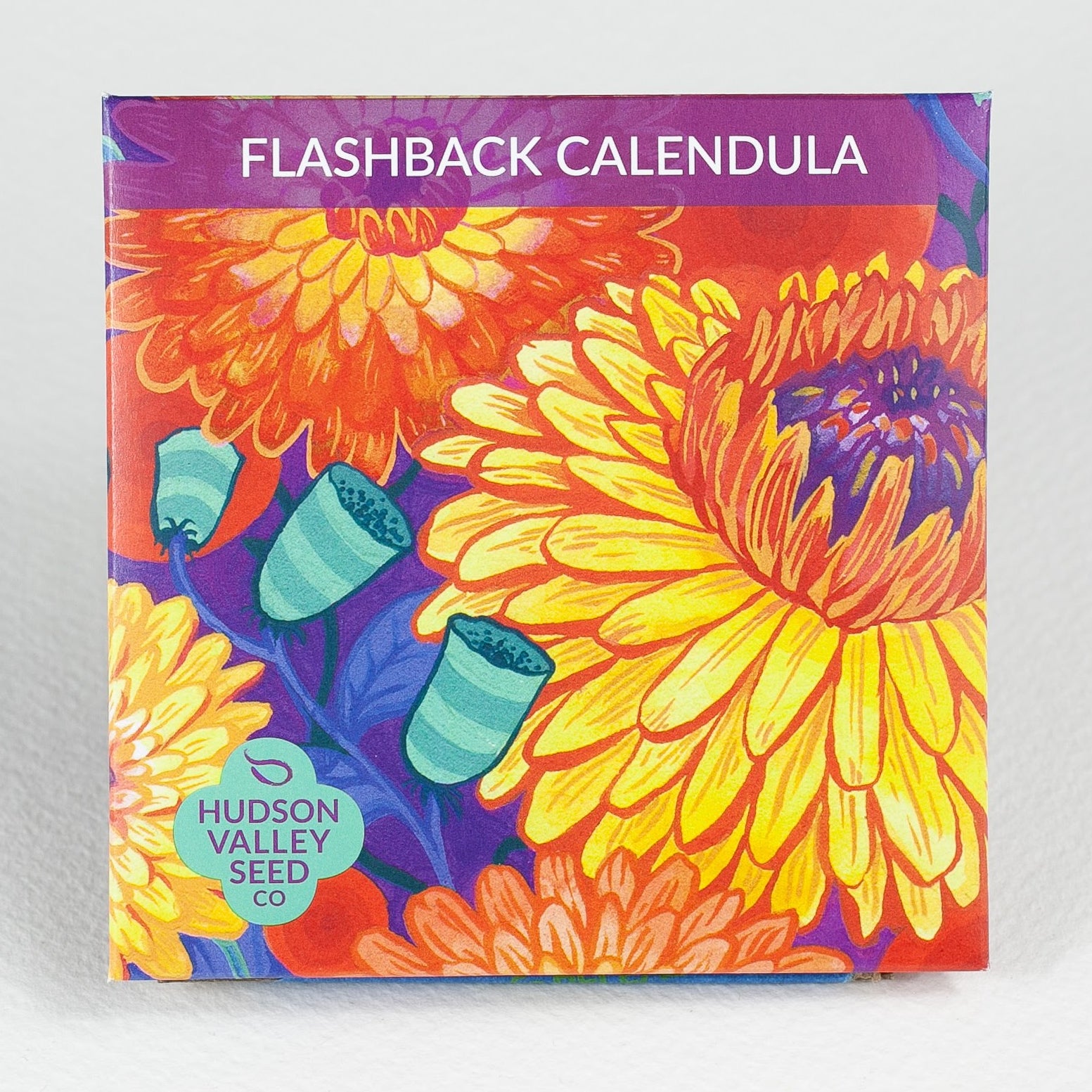 Flashback Calendula Mix Seedlings