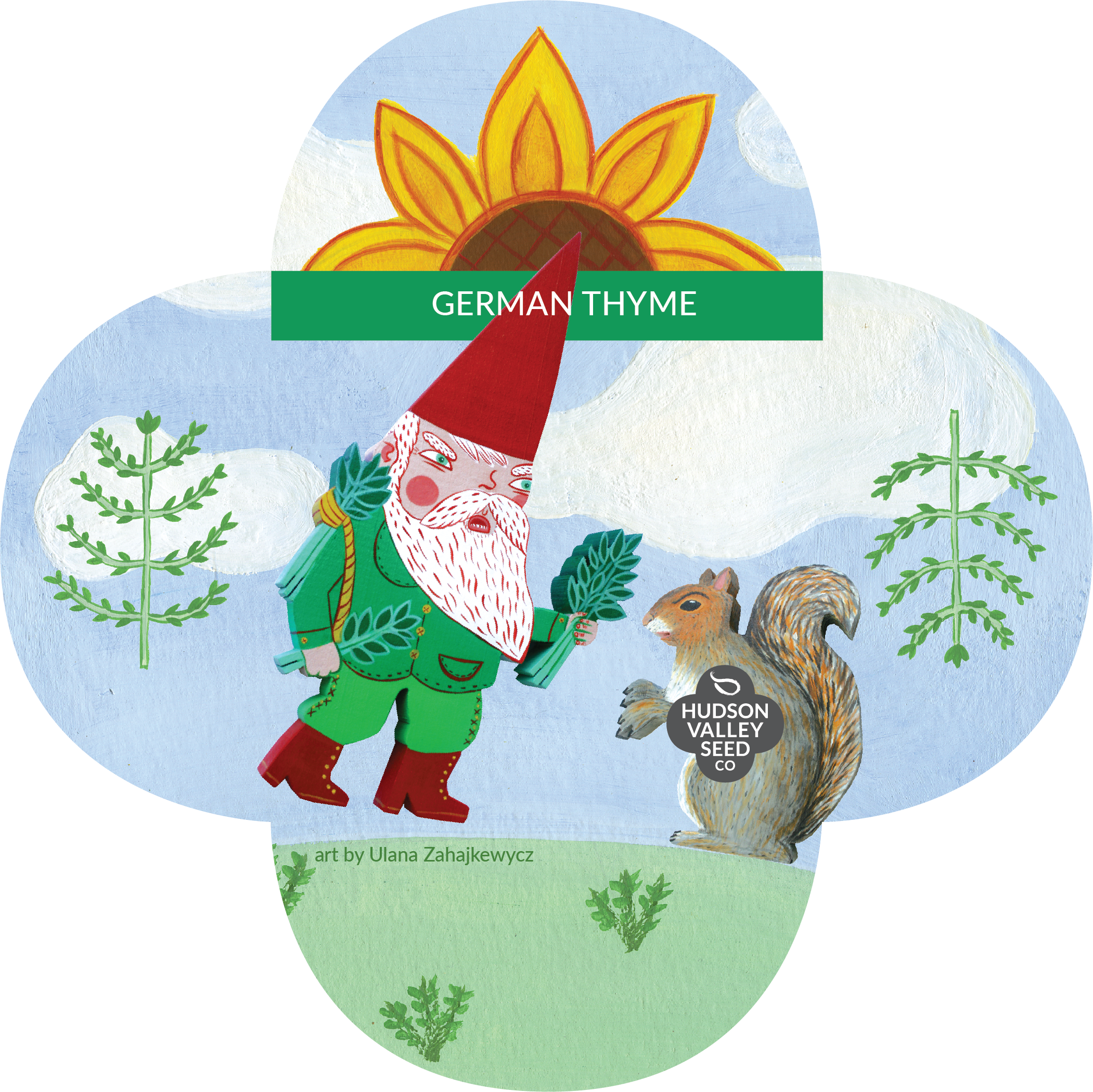 German Thyme Seedlings