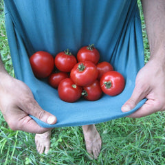 Harvesting Tricks For Higher Yields