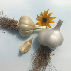 Grow-How: The Garlic Guide