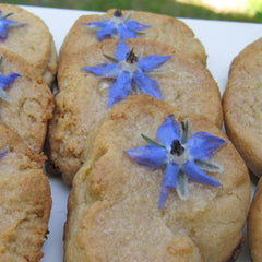 Lemon Cookies with Borage