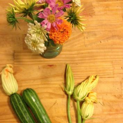 Garden Harvest Spotlight: Summer Squash