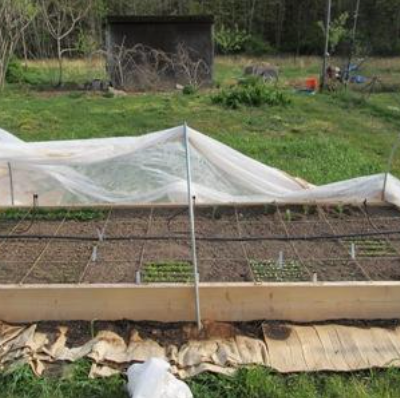 Raised Beds Part 1: Construction