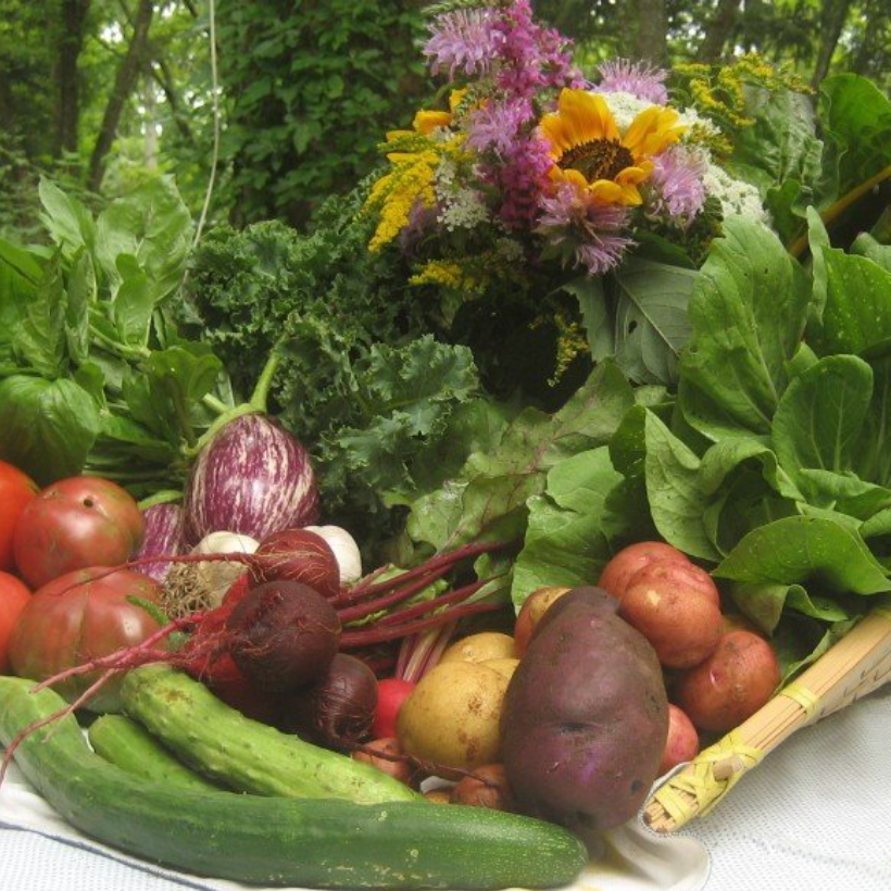 The Weekly Harvest