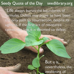 Seedy Quote of the Day: Exupery