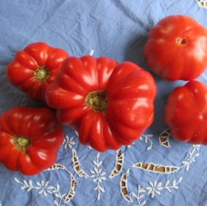 Tomato Favorites, New and Old