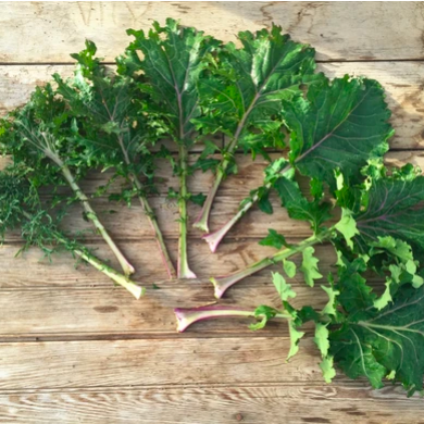 A Year of Kale