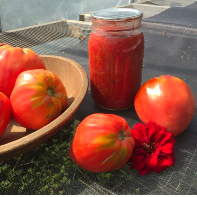 Preserving the Summer Harvest for Winter