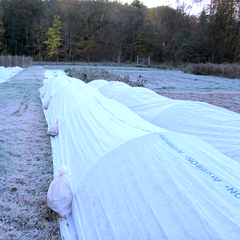 Putting the Garden to Bed