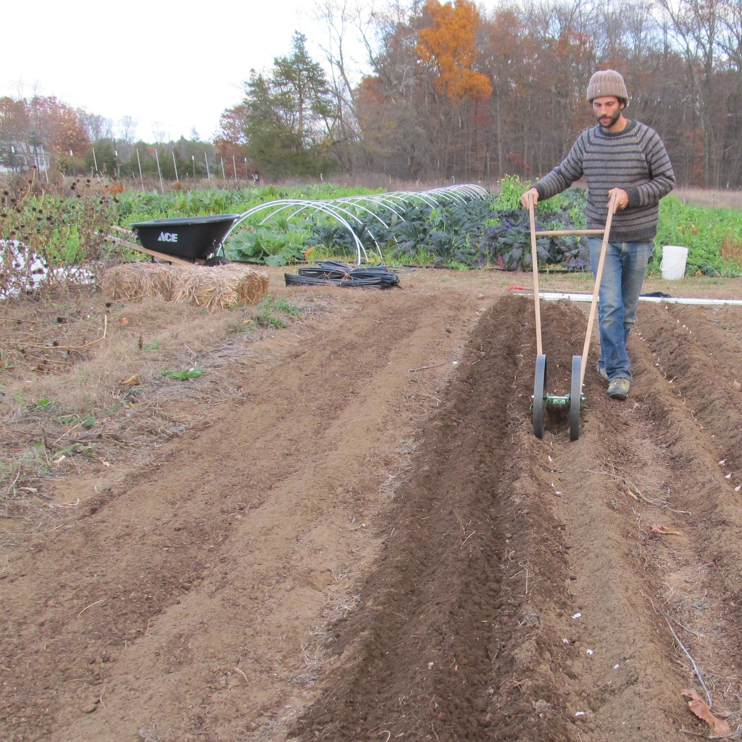 Making the Bed: Our best tips for great germination