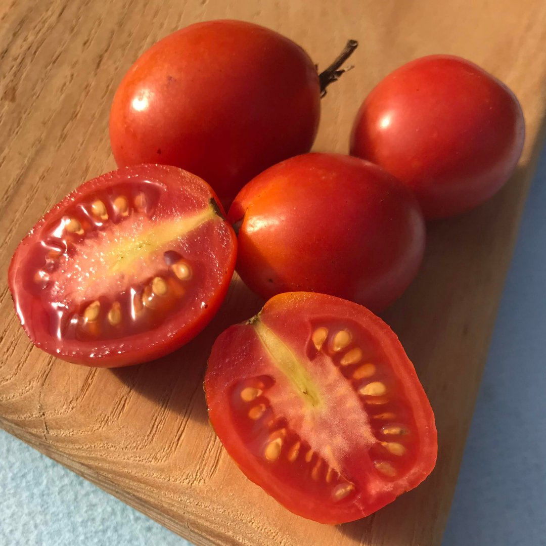 Drying Tomatoes