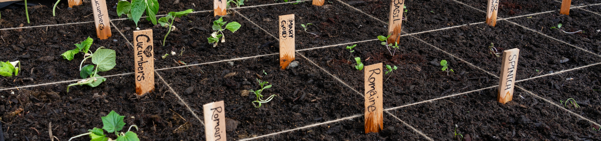 Square Foot Gardening