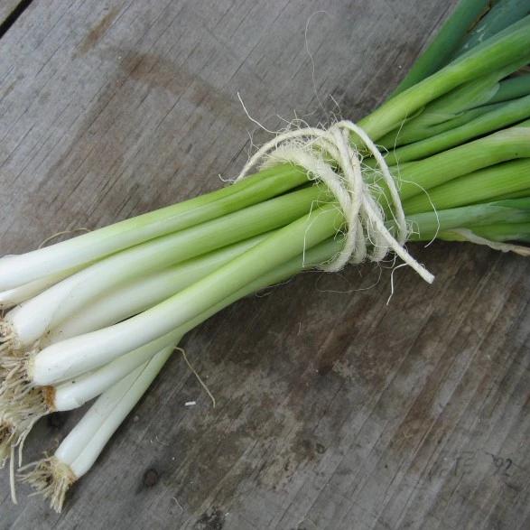 Scallions