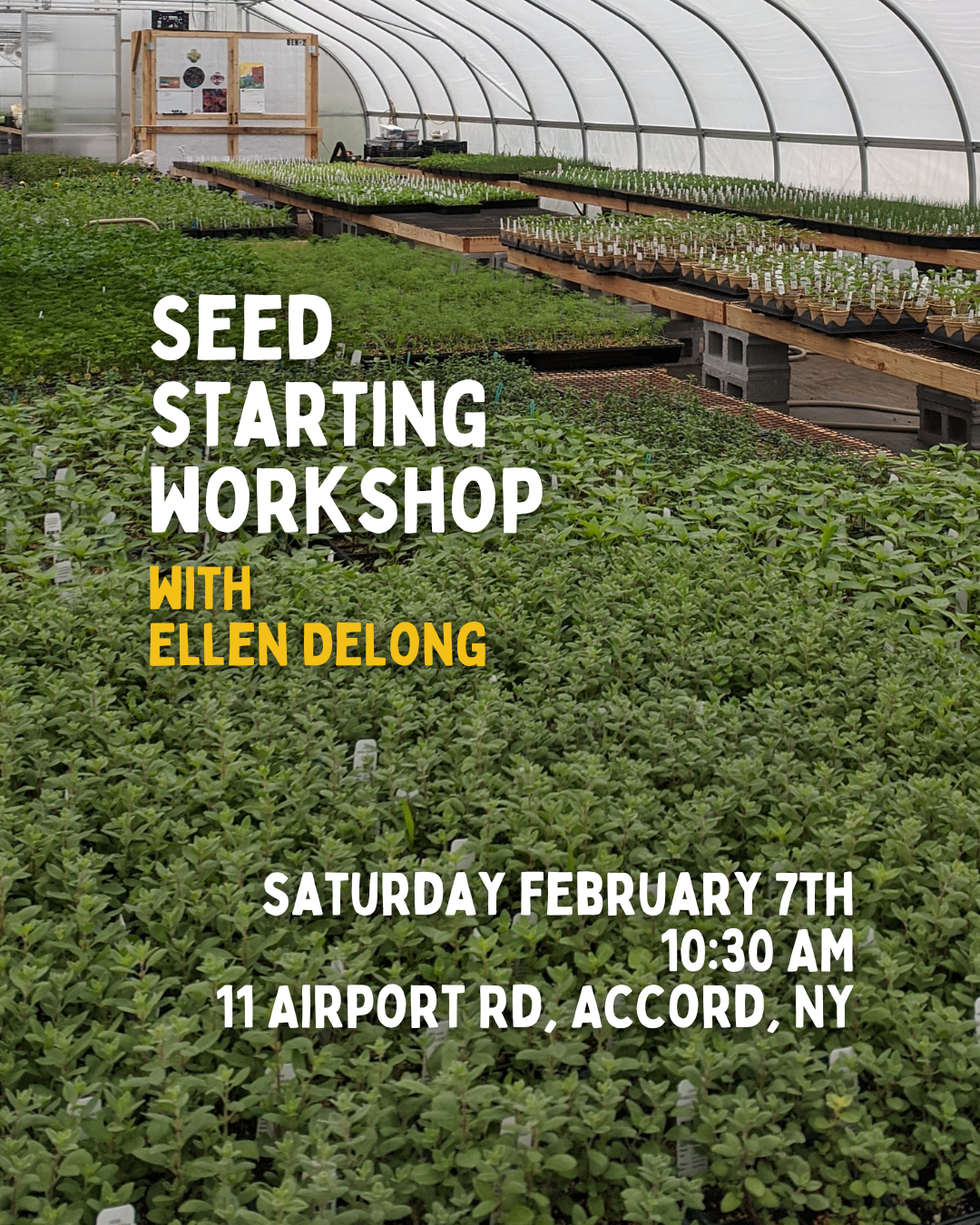 Seed Starting Workshop with Ellen DeLong - 2/7 - 10:30AM