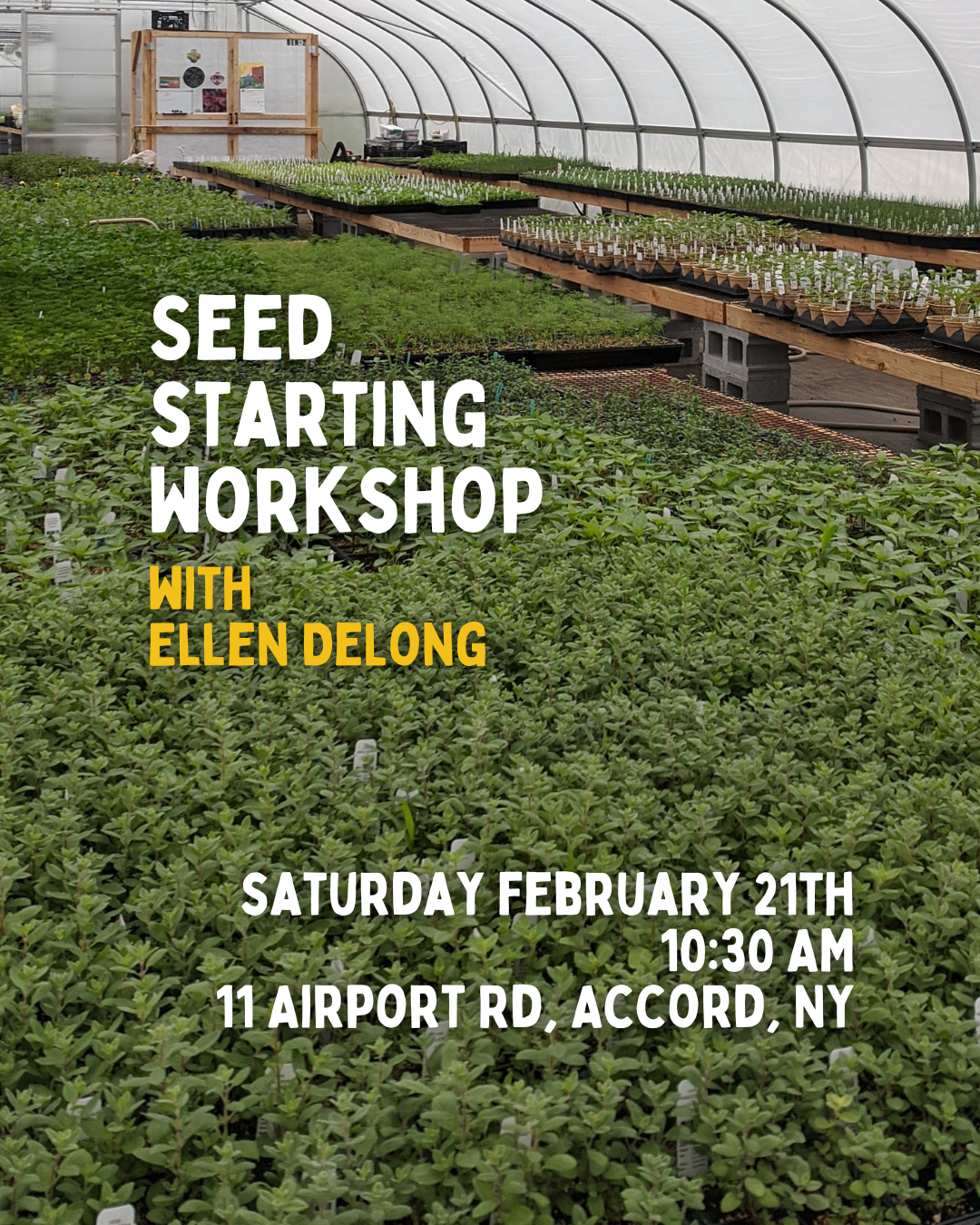 Seed Starting Workshop with Ellen DeLong - 2/21 - 10:30AM